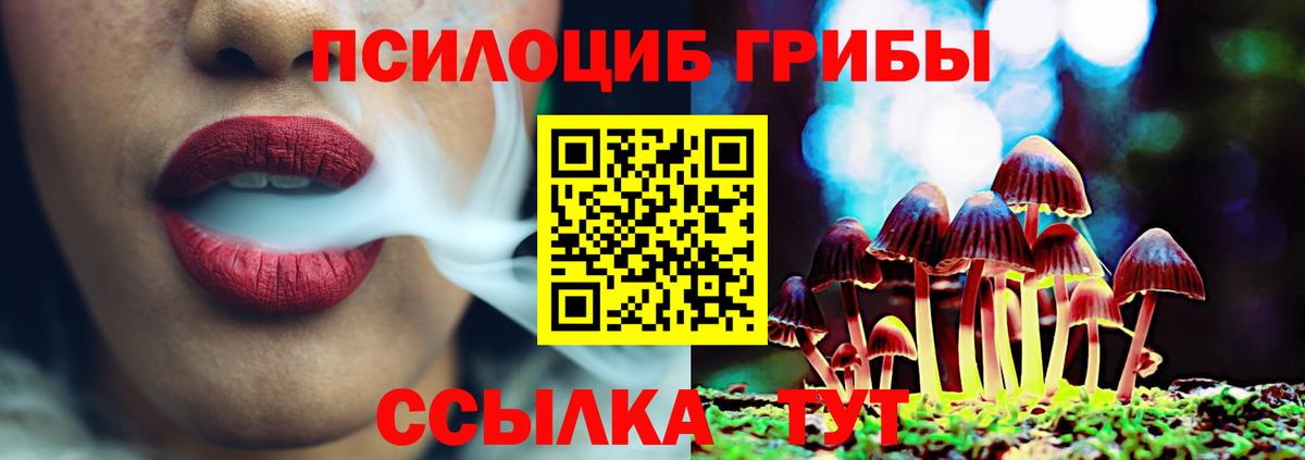 Псилоцибиновые грибы Magic Shrooms  Псилоцибиновые грибы Psilocybe  Россошь  Вход с VPN 